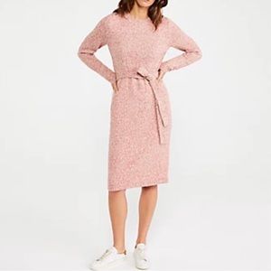 Ann Taylor sweater dress with tie belt